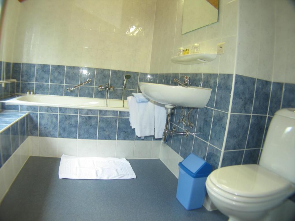 Hotel Aux Massotais Petites Tailles 部屋 写真