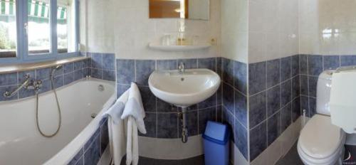 Hotel Aux Massotais Petites Tailles 部屋 写真